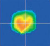 Minute pad inspection