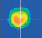 Minute pad inspection